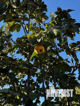 Дача 30м², 2-этажный, участок 5 сот.