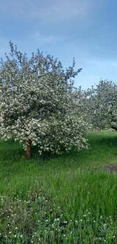 Дом 177м², 3-этажный, участок 12 сот.