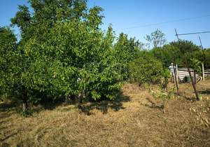 Дача 24м², 2-этажный, участок 9 сот.