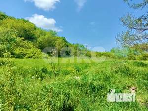 Дом 30м², 1-этажный, участок 24 сот.