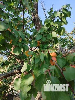 Коттедж 170м², 2-этажный, участок 9 сот.