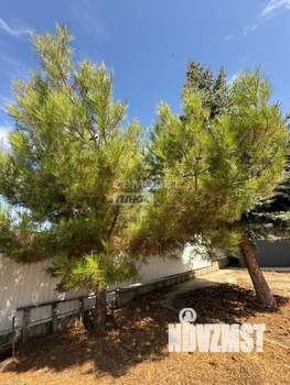 Дом 88м², 1-этажный, участок 3 сот.