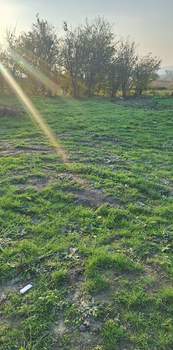 Дом 85м², 1-этажный, участок 5 сот.