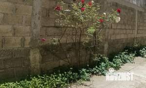 Дом 102м², 2-этажный, участок 3 сот.