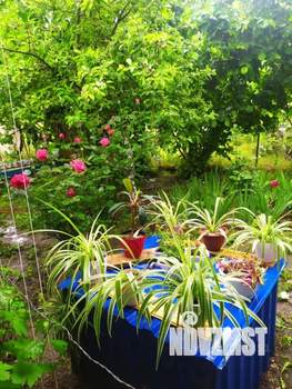 Дом 85м², 2-этажный, участок 8 сот.