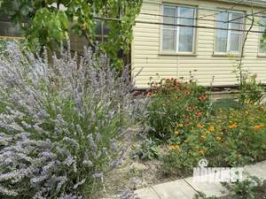 Дом 56м², 1-этажный, участок 14 сот.