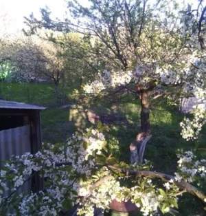 Дом 150м², 1-этажный, участок 5 сот.