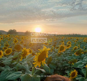 Дом 50м², 1-этажный, участок 5 сот.