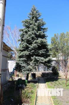 Дом 120м², 2-этажный, участок 6 сот.