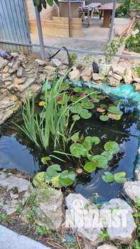 Дом 118м², 2-этажный, участок 2 сот.