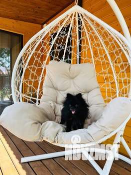 Дом 32м&sup2;, 1-этажный, посуточно, 