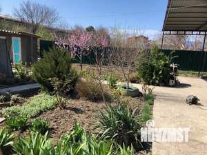 Дом 72м&sup2;, 1-этажный, посуточно, 