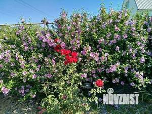 Дом 40м&sup2;, 2-этажный, посуточно, 