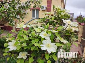 Дом 100м², 2-этажный, посуточно, 