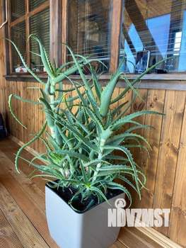 Дом 25м&sup2;, 2-этажный, посуточно, 