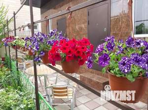 Дом 45м&sup2;, 1-этажный, посуточно, 