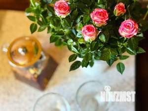 Дом 24м², 1-этажный, посуточно, 