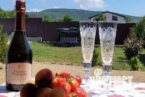 Дом 15м&sup2;, 1-этажный, посуточно, 