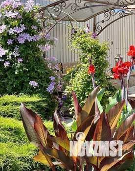 Дом 25м², 1-этажный, посуточно, 