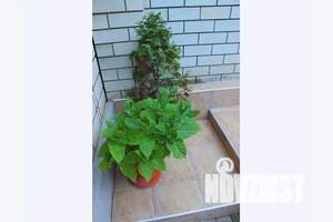 Дом 120м&sup2;, 2-этажный, посуточно, 