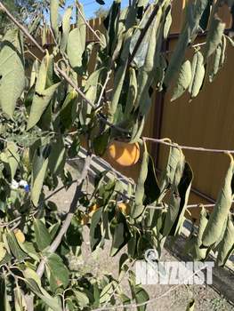 Дом 140м², 2-этажный, на длительный срок, 