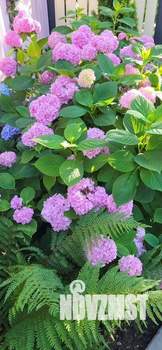 Дом 63м&sup2;, 2-этажный, посуточно, 