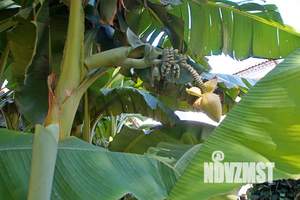 Дом 65м&sup2;, 2-этажный, посуточно, 