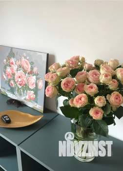 Дом 65м&sup2;, 1-этажный, посуточно, 