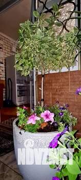 Дом 120м&sup2;, 3-этажный, посуточно, 