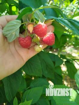 Дом 138м&sup2;, 2-этажный, посуточно, 