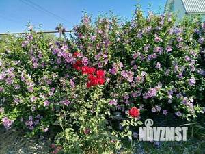 Дом 40м&sup2;, 2-этажный, посуточно, 