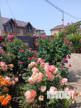 Коттедж 104м², 2-этажный, участок 2 сот.  