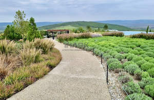 Дом 62м&sup2;, 1-этажный, участок 4 сот.  