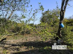 Дом 20м&sup2;, 1-этажный, участок 10 сот.  