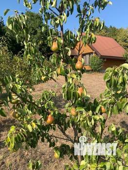 Дом 36м&sup2;, 1-этажный, участок 10 сот.  