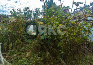 Дом 35м&sup2;, 1-этажный, участок 3 сот.  