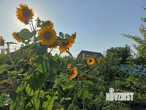 Дом 114м&sup2;, 2-этажный, участок 15 сот.  