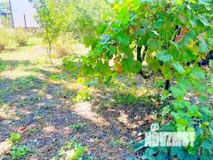 Дом 49м&sup2;, 1-этажный, участок 5 сот.  