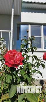 Дом 239м&sup2;, 2-этажный, участок 8 сот.  