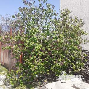 Дом 360м&sup2;, 2-этажный, участок 4 сот.  