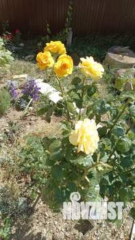 Дом 132м&sup2;, 2-этажный, участок 5 сот.  