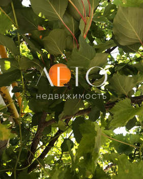 Дом 160м&sup2;, 2-этажный, участок 4 сот.  