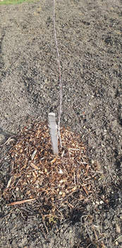 Дом 68м&sup2;, 1-этажный, участок 4 сот.  