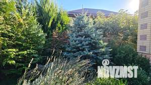 Дом 125м&sup2;, 2-этажный, участок 4 сот.  