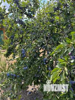 Дом 92м², 2-этажный, участок 6 сот.  