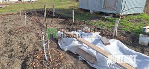 Дом 68м&sup2;, 1-этажный, участок 4 сот.  