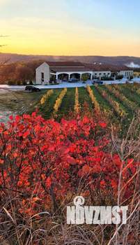 Дом 60м&sup2;, 1-этажный, участок 12 сот.  