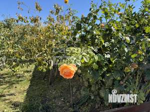 Дом 85м&sup2;, 1-этажный, участок 6 сот.  