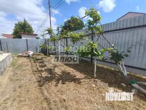 Дом 50м&sup2;, 1-этажный, участок 4 сот.  