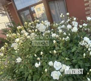 Дом 118м&sup2;, 1-этажный, участок 5 сот.  